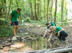 Drei Personen bei einem Tümpel mit Steinen im Wald