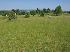 Wiese in der Gemeinde Enzesfeld-Lindabrunn