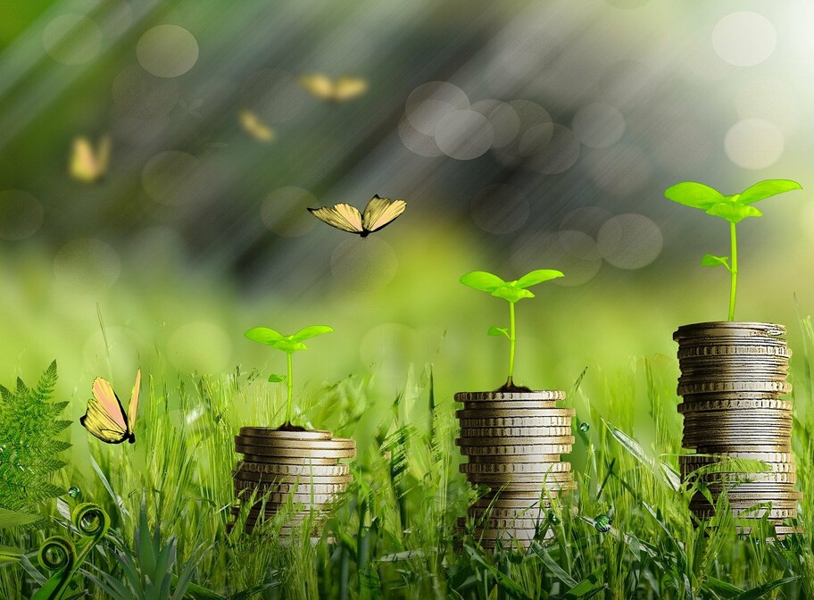 Mehrere Stapel Euromünzen mit grünen Pflänzchen am Stapelende