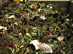 Ein Haufen alter Blumen in einem Kompostbehälter