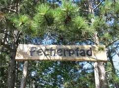 Schild Pechlehrpfad vor Föhrenwald